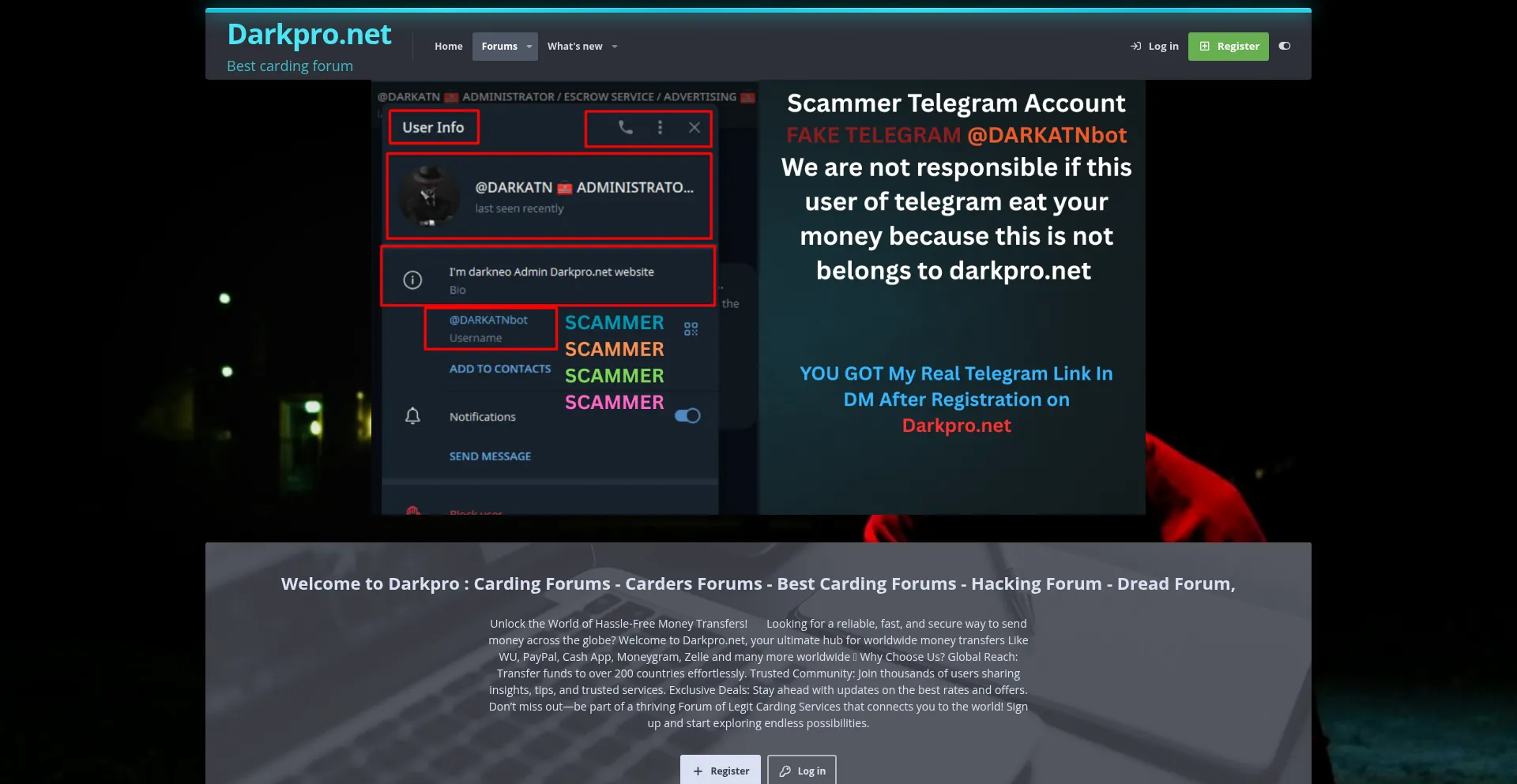 Website screenshot of Darkpro.net