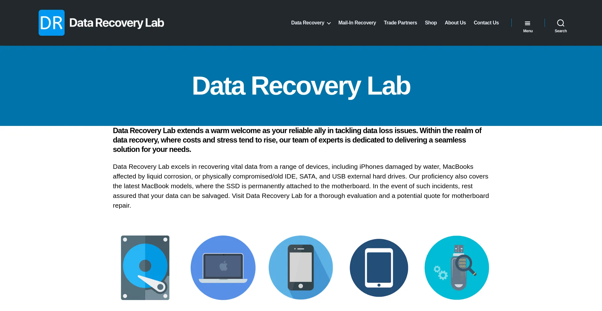 Website screenshot of Datarecoverynz.com