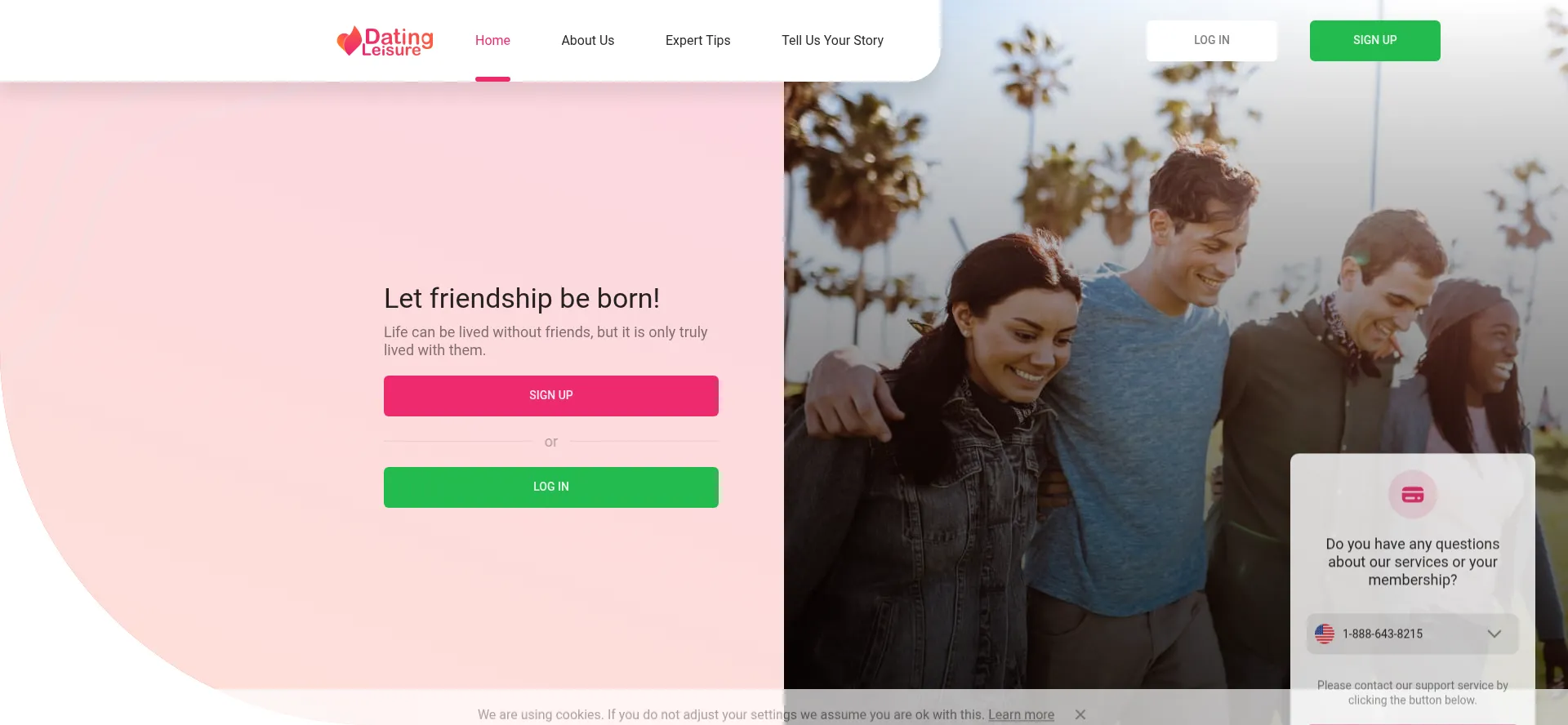 Website screenshot of Datingleisure.com