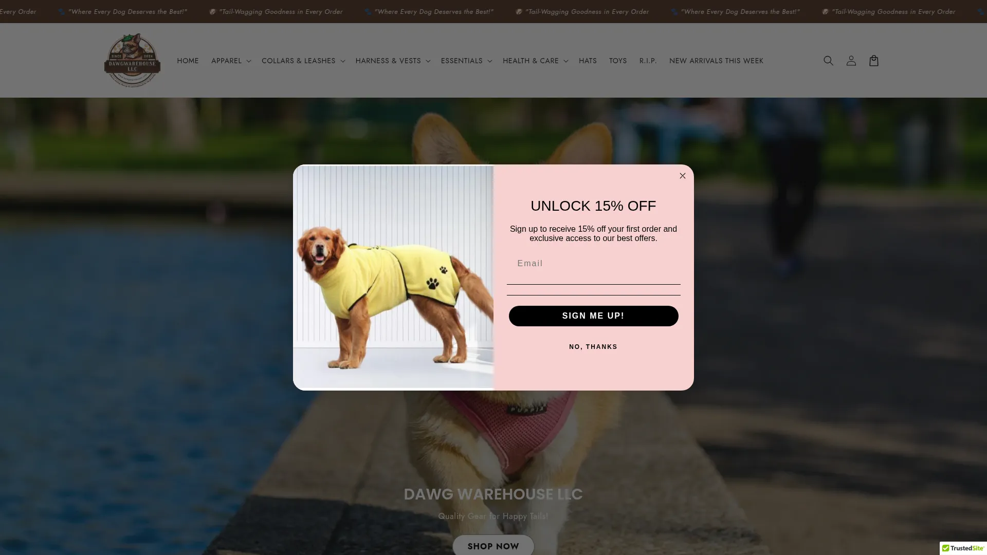 Dawgwarehouse.com
