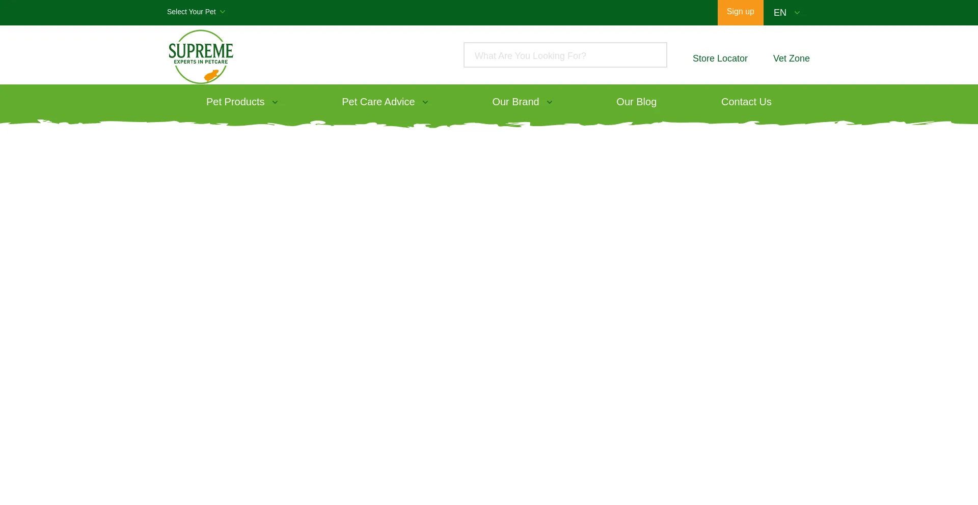 Website screenshot of Dazzlemaven.store
