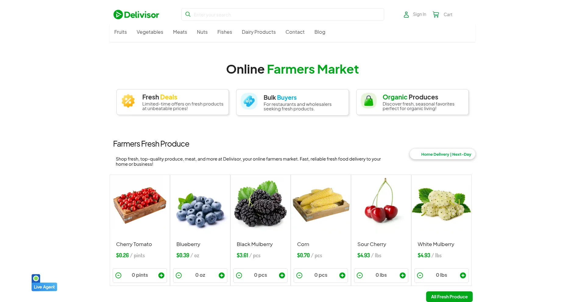 Website screenshot of Delivisor.com