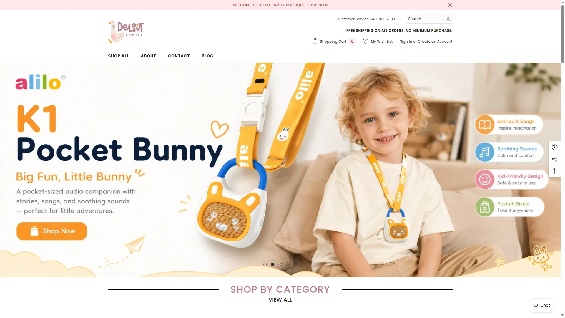 Delsitfamily.com