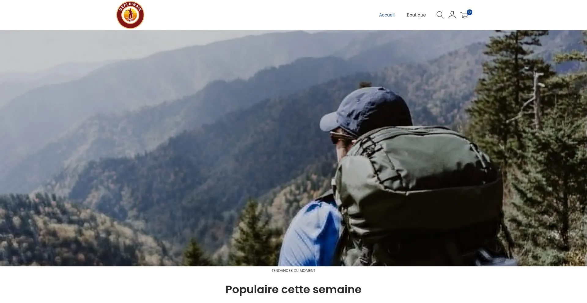 Website screenshot of Depleinair.com