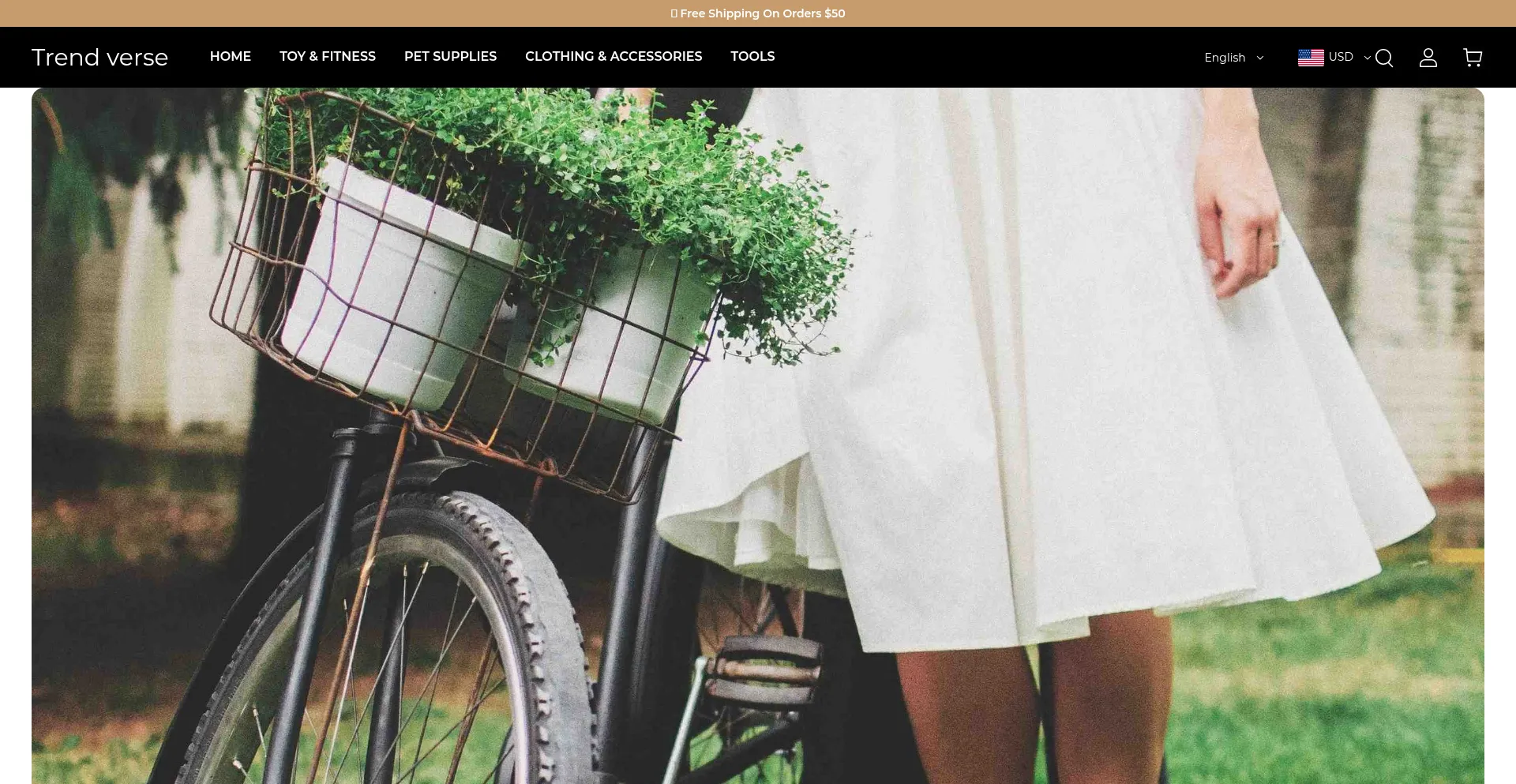 Website screenshot of Derseen.shop