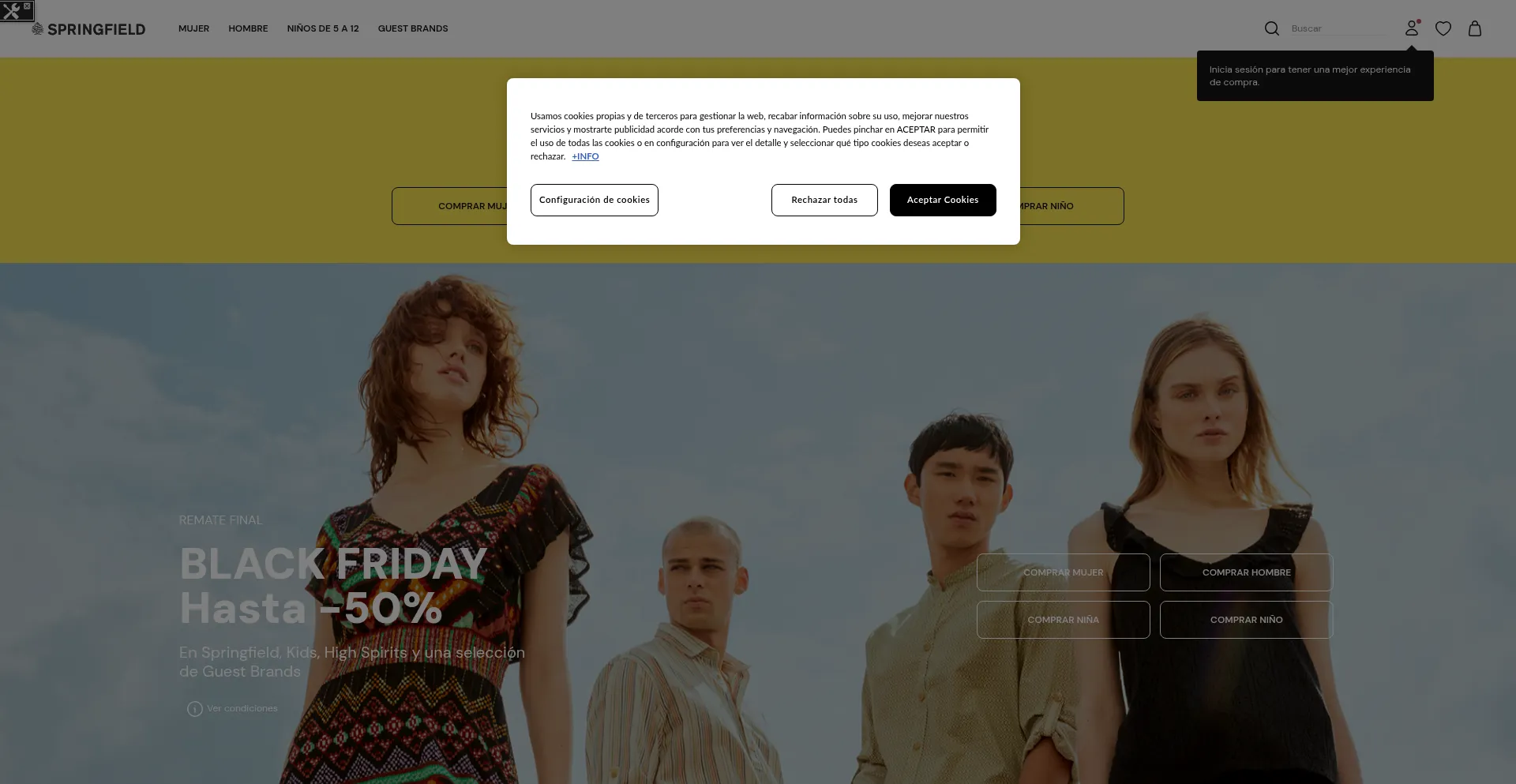 Website screenshot of Development.myspringfield.com