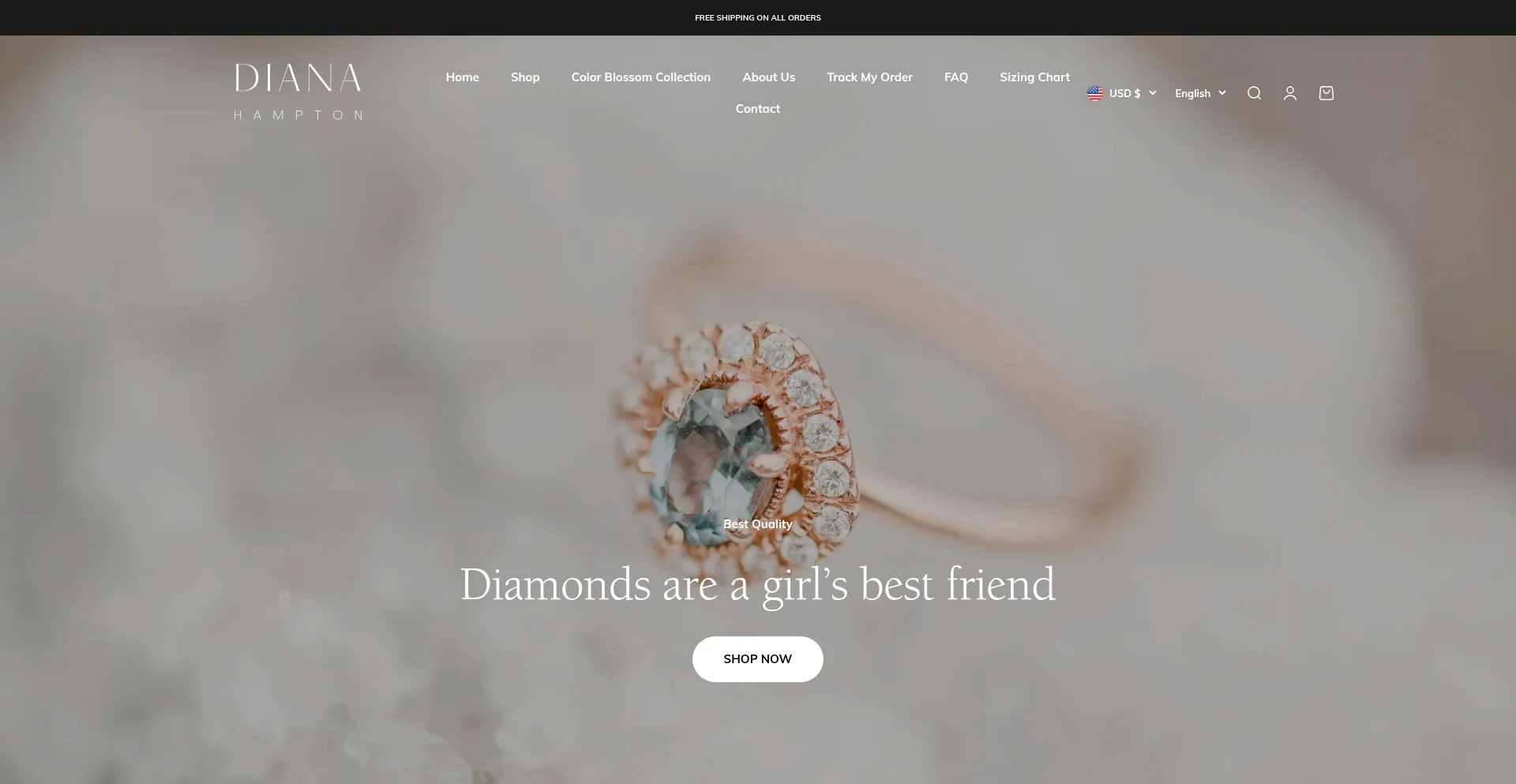 Website screenshot of Dianahampton.com