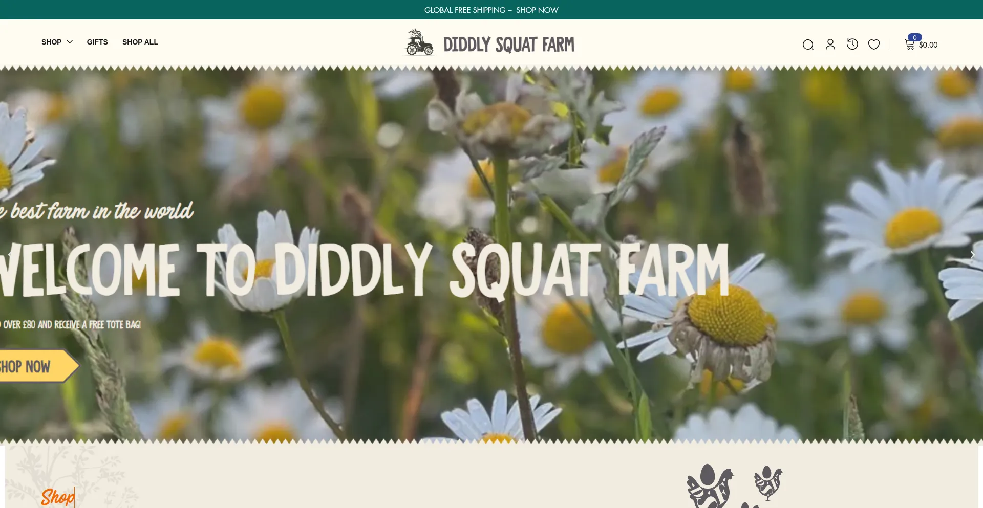 Website screenshot of Diddlysquatshop.com