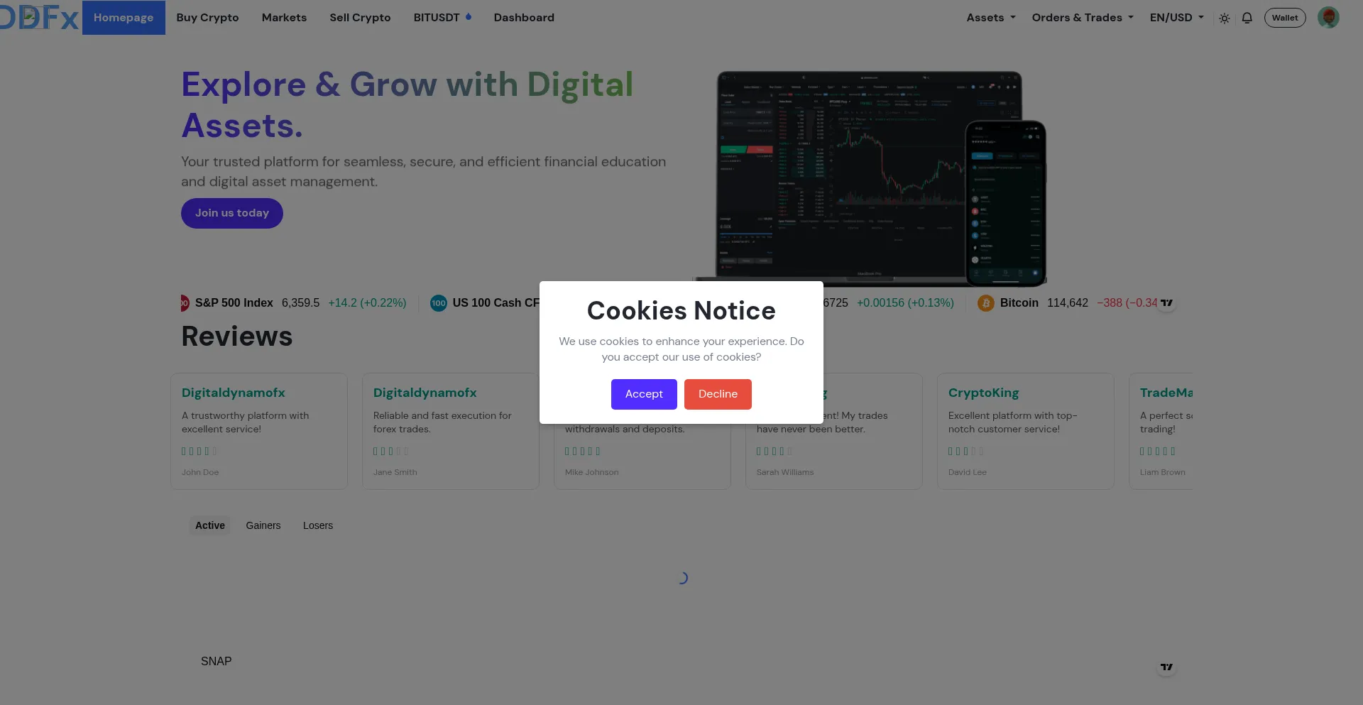 Website screenshot of Digitaldynamofx.com