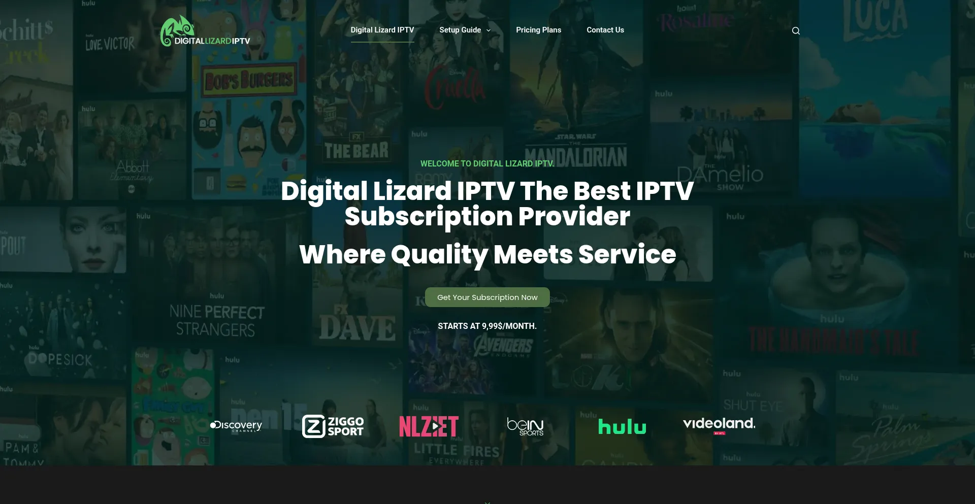 Website screenshot of Digitallizardiptv.com