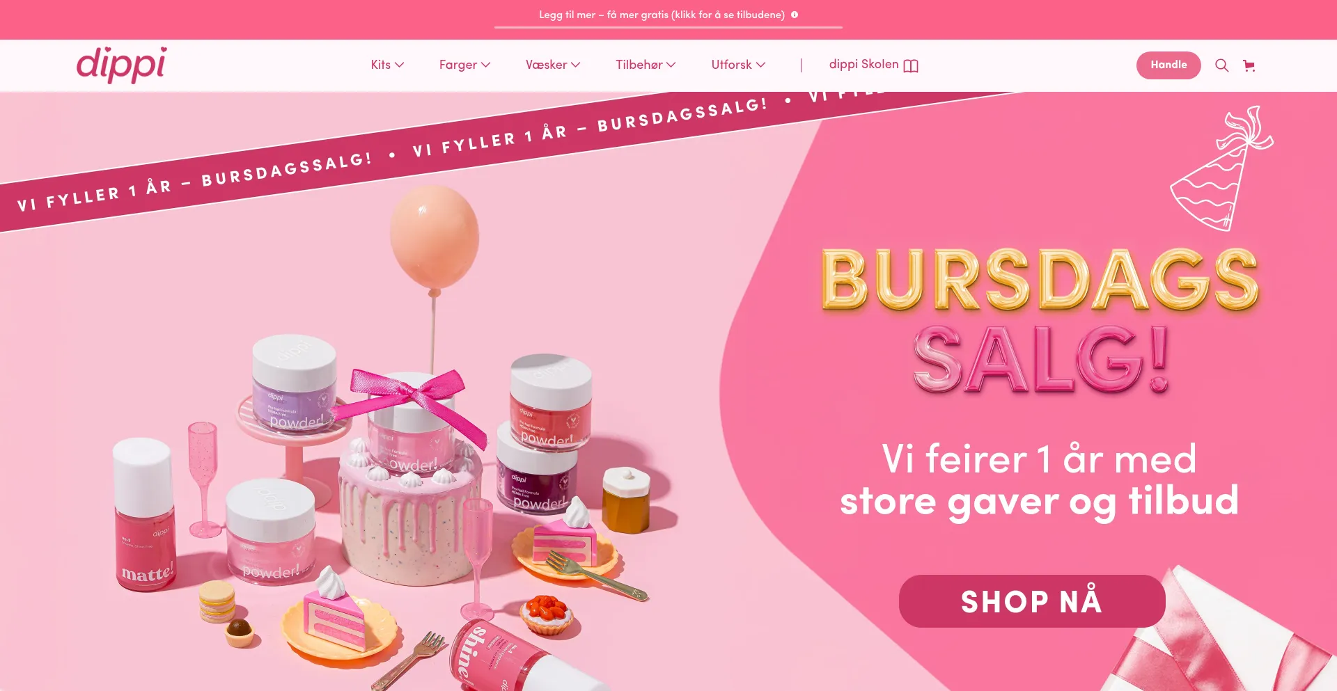Website screenshot of Dippi.no