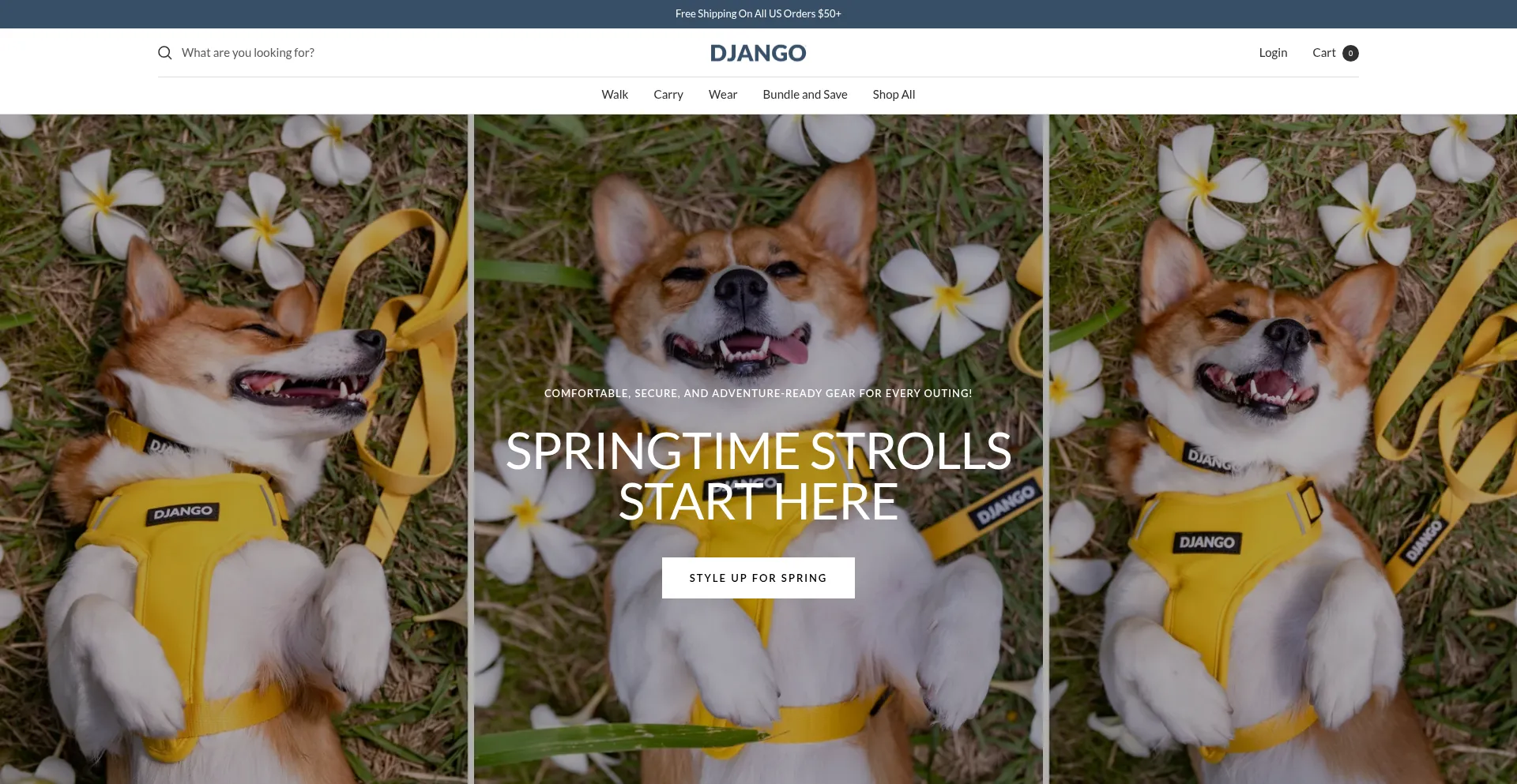 Ist Djangobrand.com sicher und vertrauenswürdig?