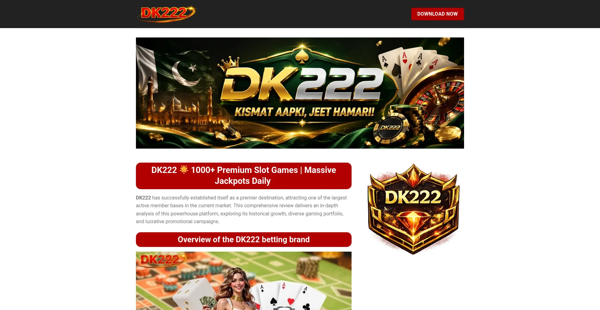 Dk222pk.com