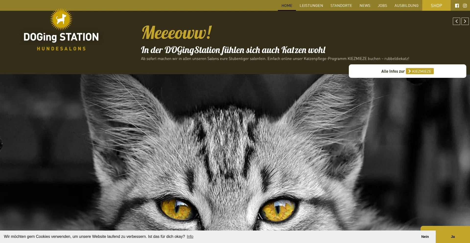 Ist Dogingstation.de sicher und vertrauenswürdig?