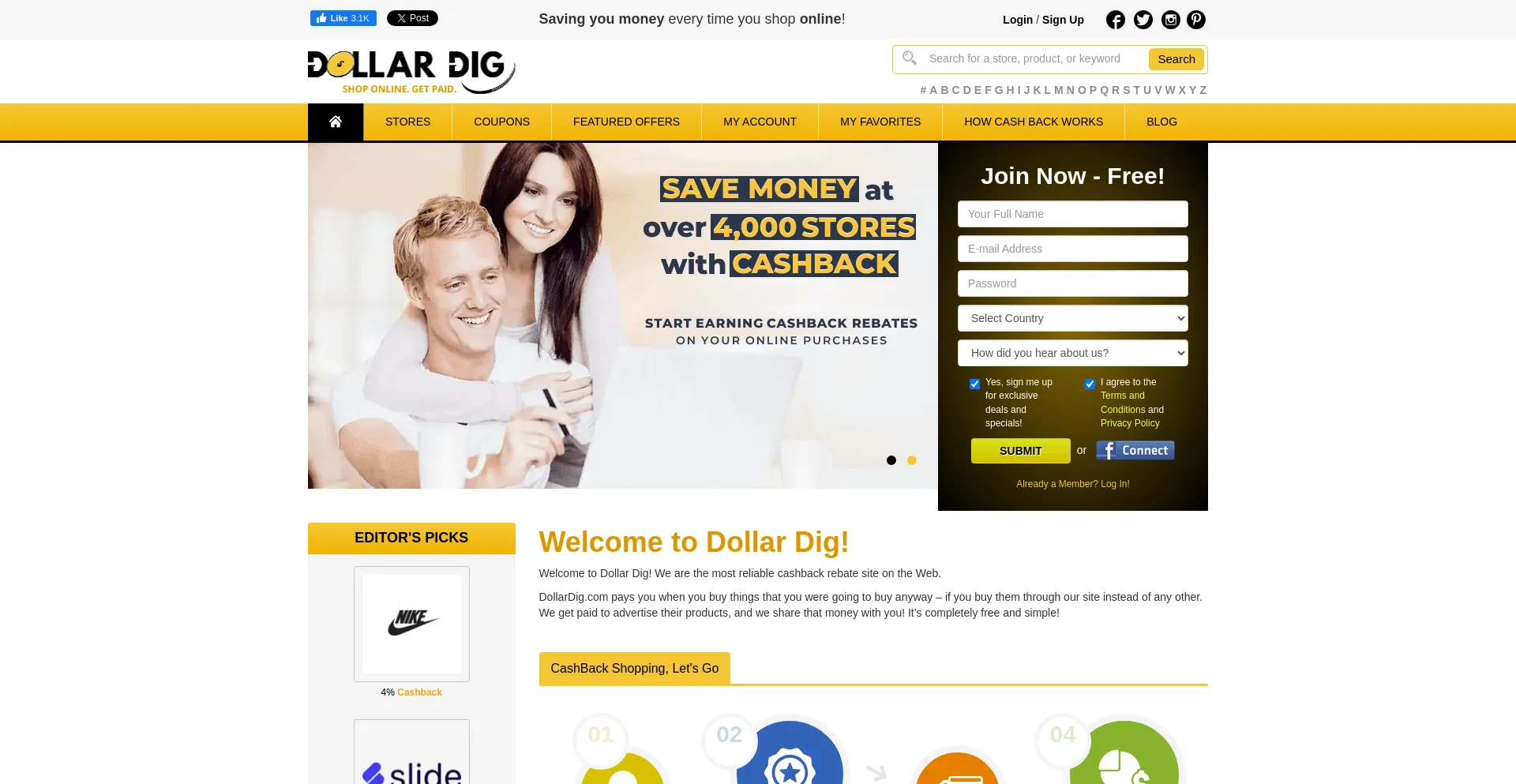 Website screenshot of Dollardig.com