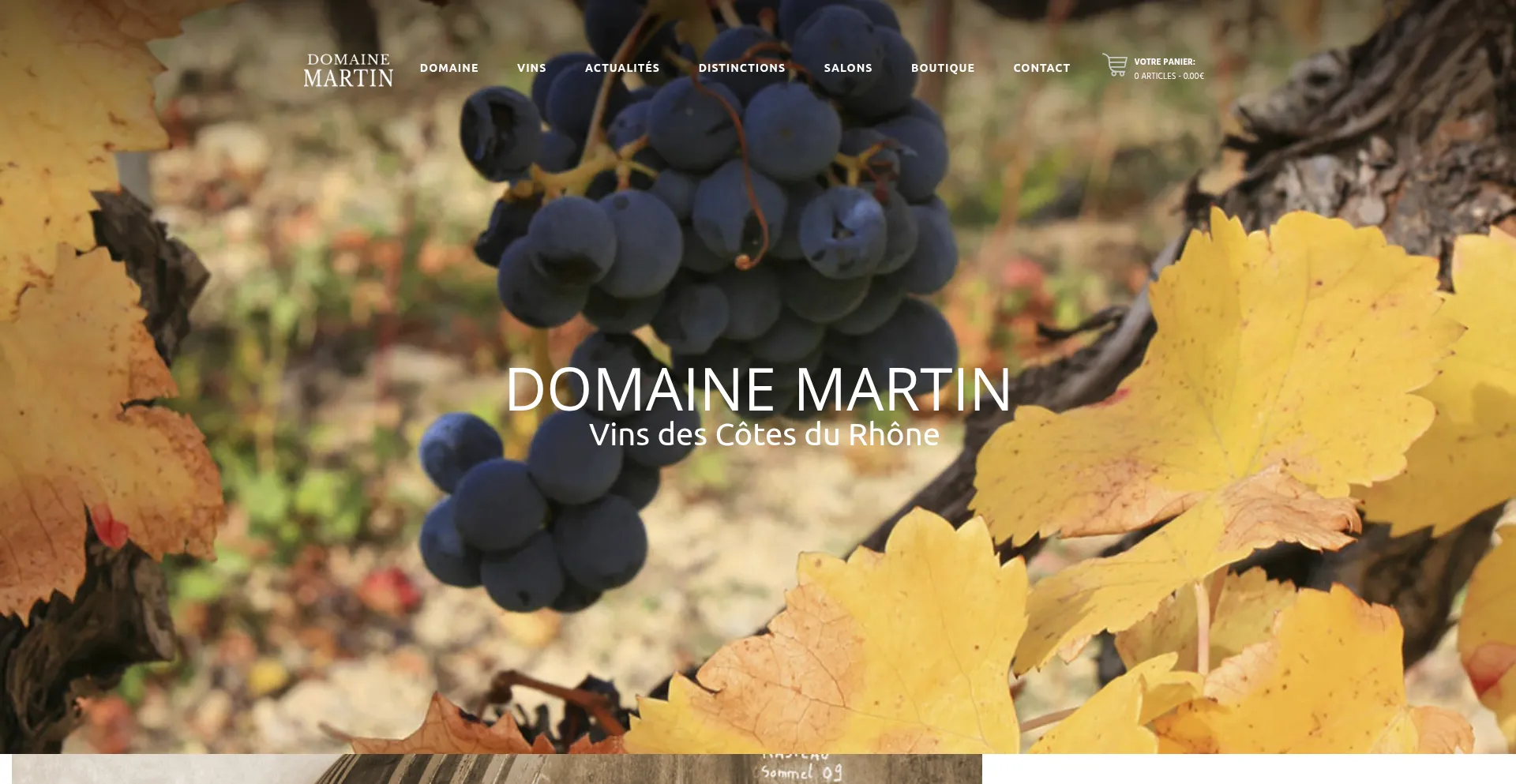 Domaine-martin.com