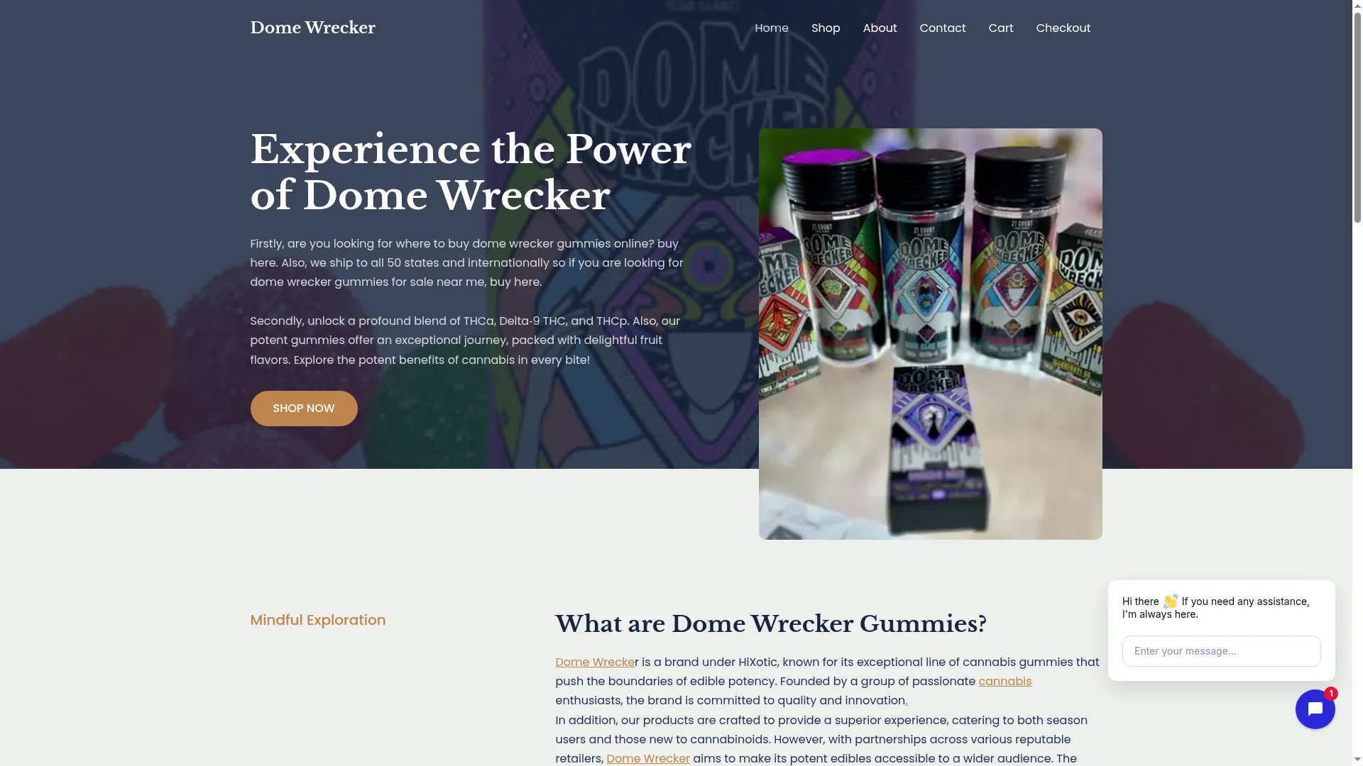 Domewreckergummiestore.com