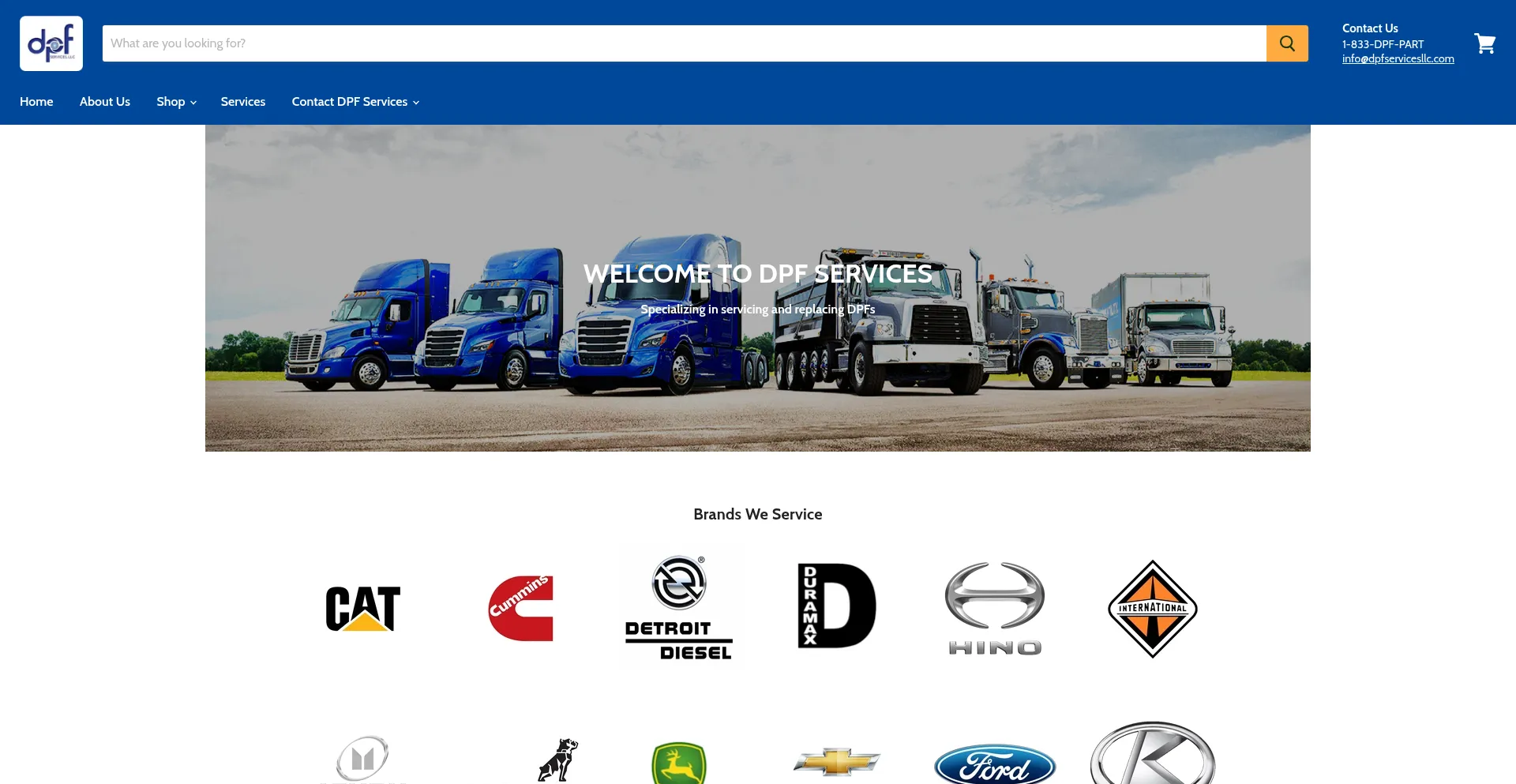 Website screenshot of Dpfservicesllc.com