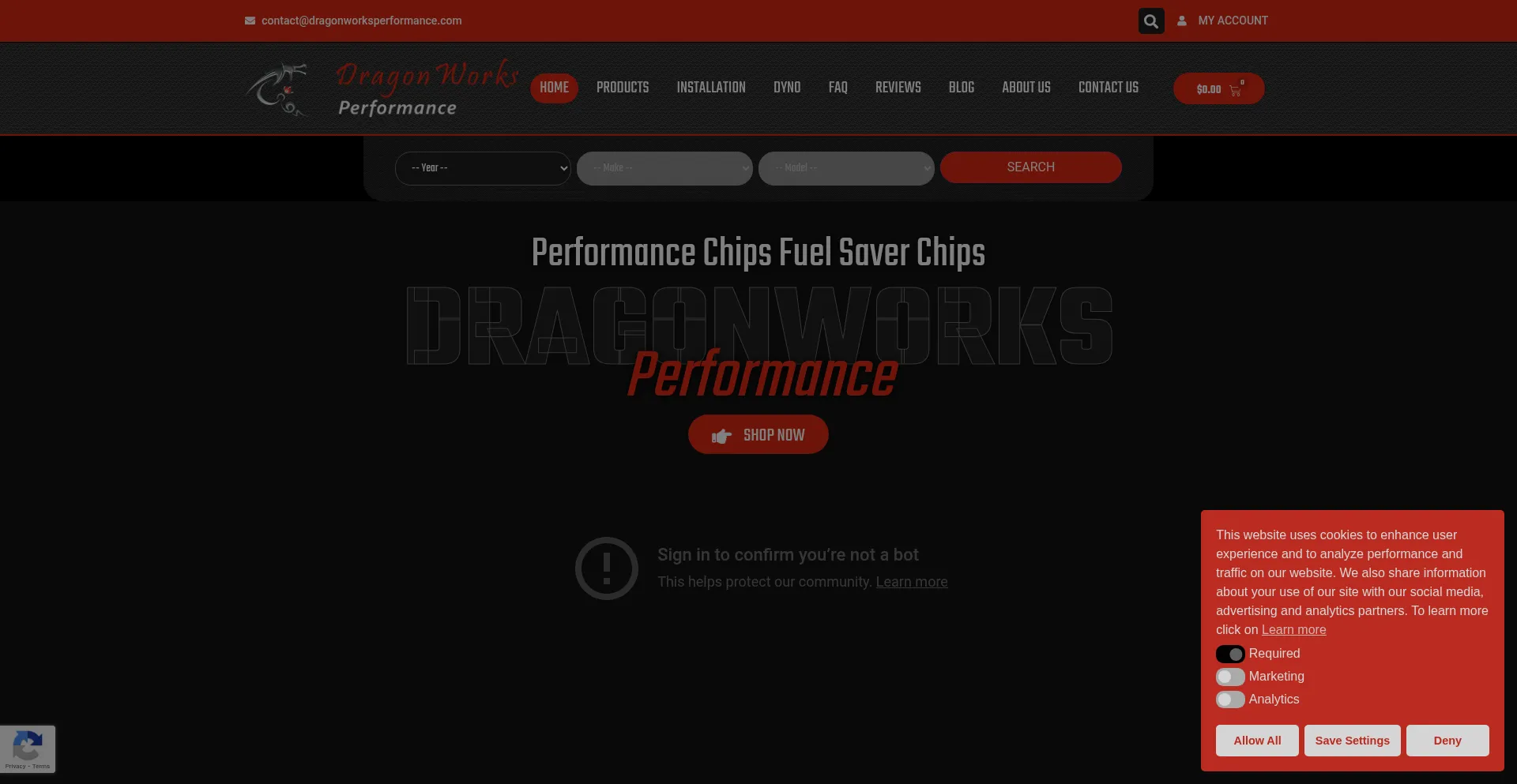 Website screenshot of Dragonworksperformance.com