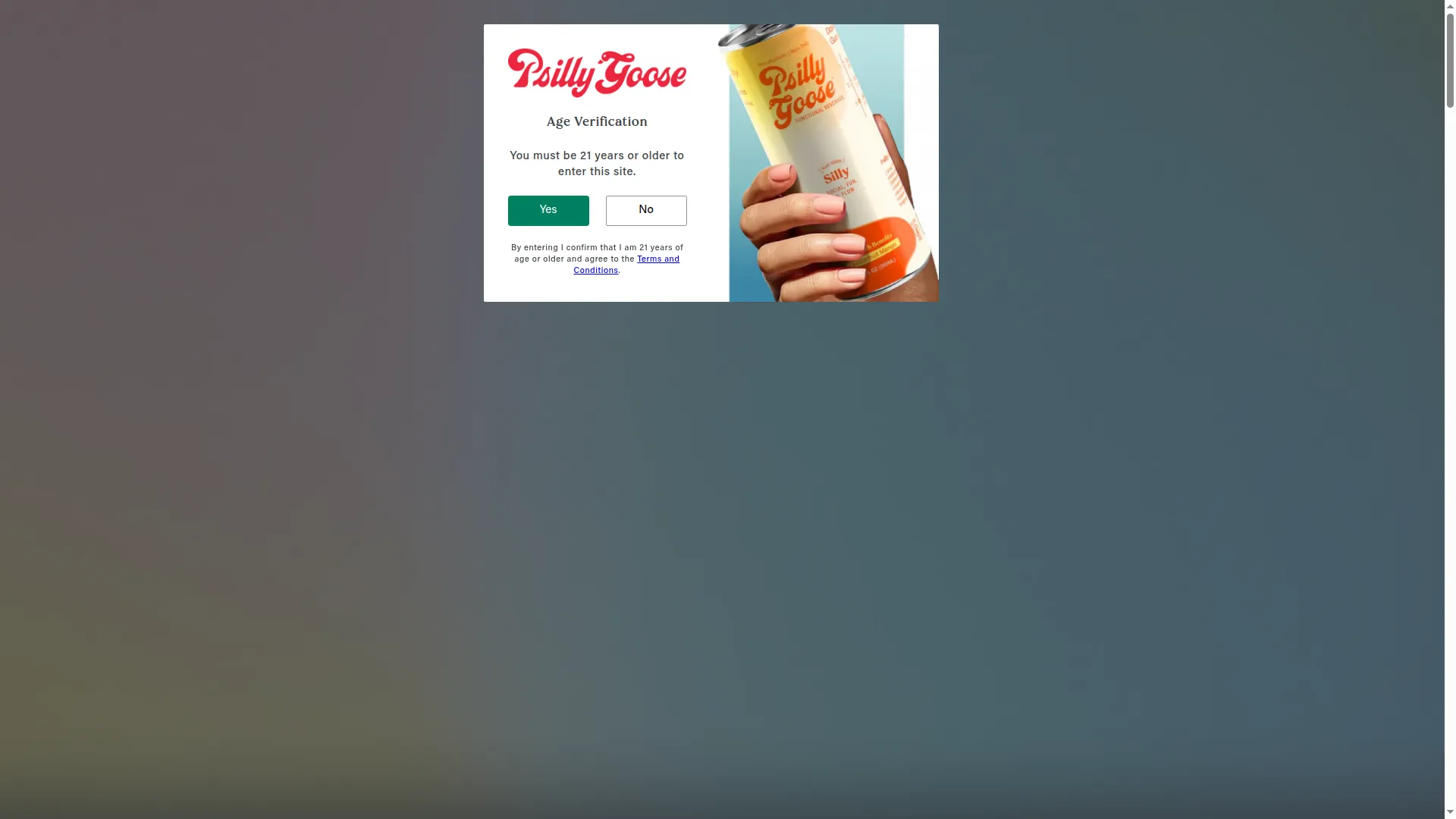 Drinkpsillygoose.com
