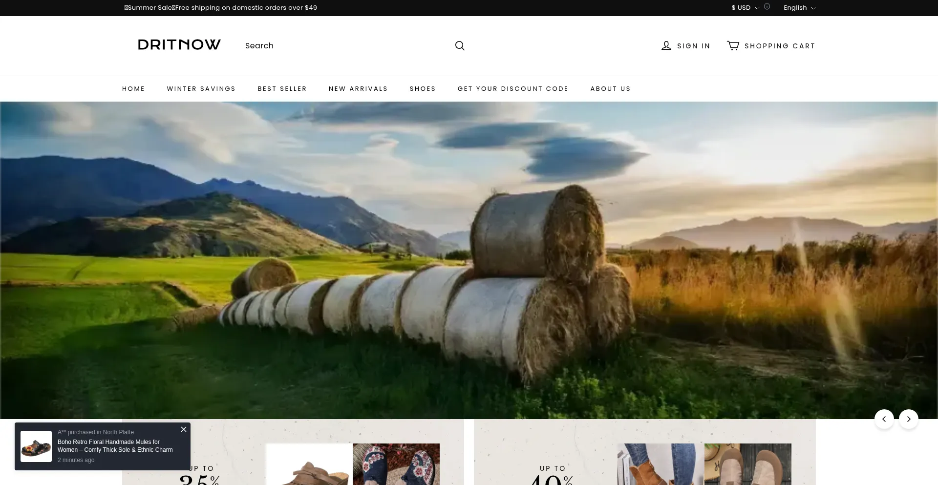 Dritnow.com
