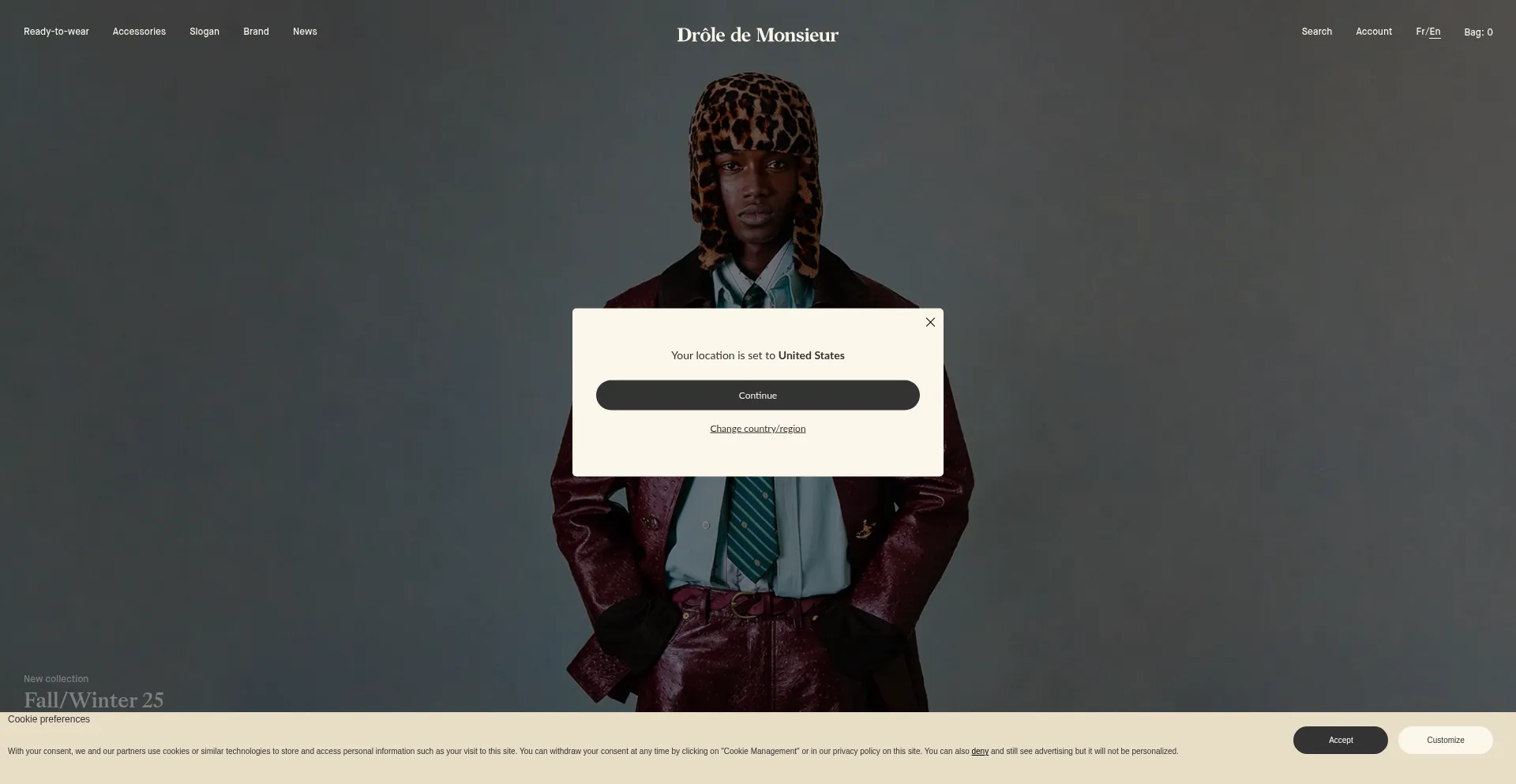 Ist Droledemonsieur.com sicher und vertrauenswürdig?