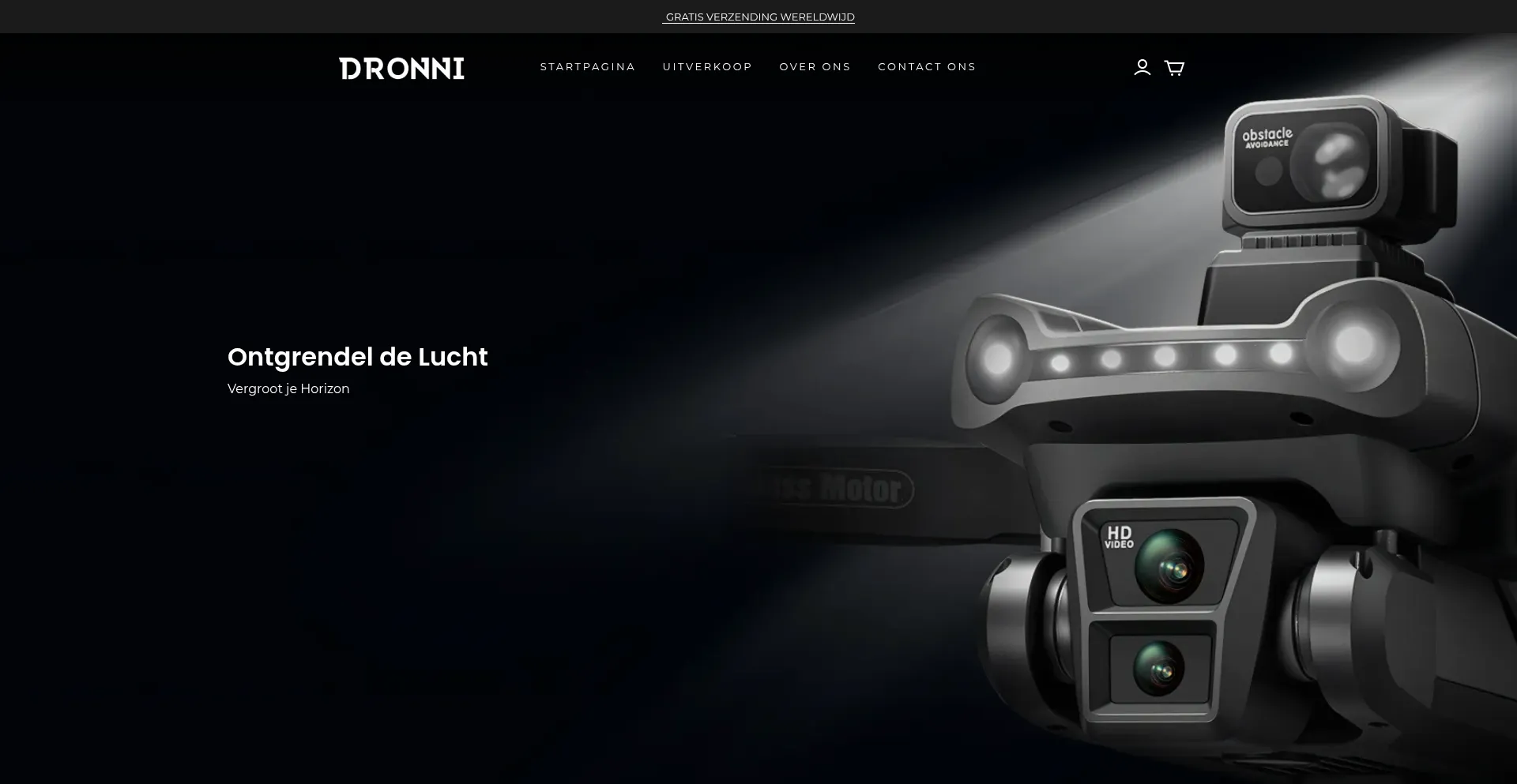 Website screenshot of Dronni-nl.net