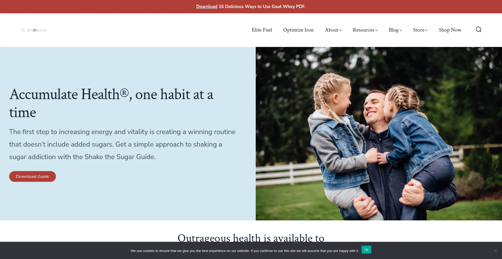 Website screenshot of Drwholeness.com