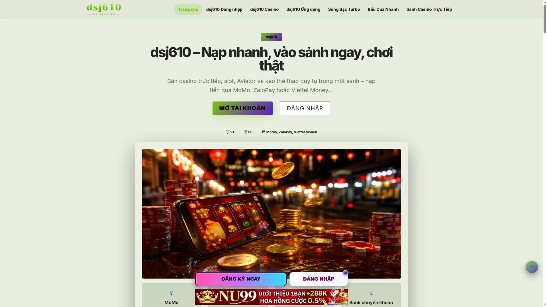 Dsj610.com