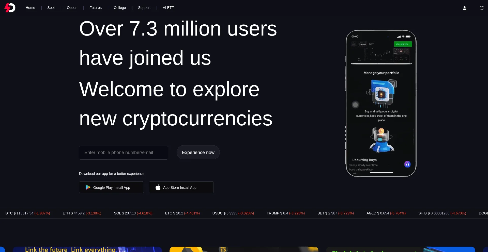 Dsxs.com Screenshot