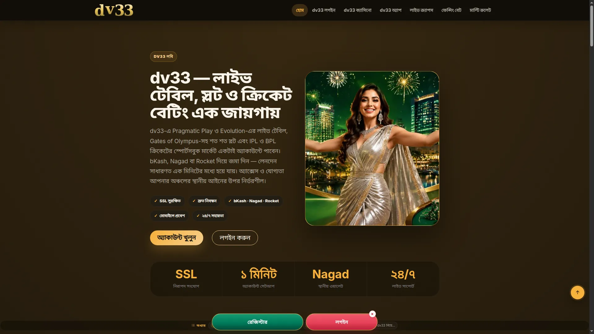 Dv33.net