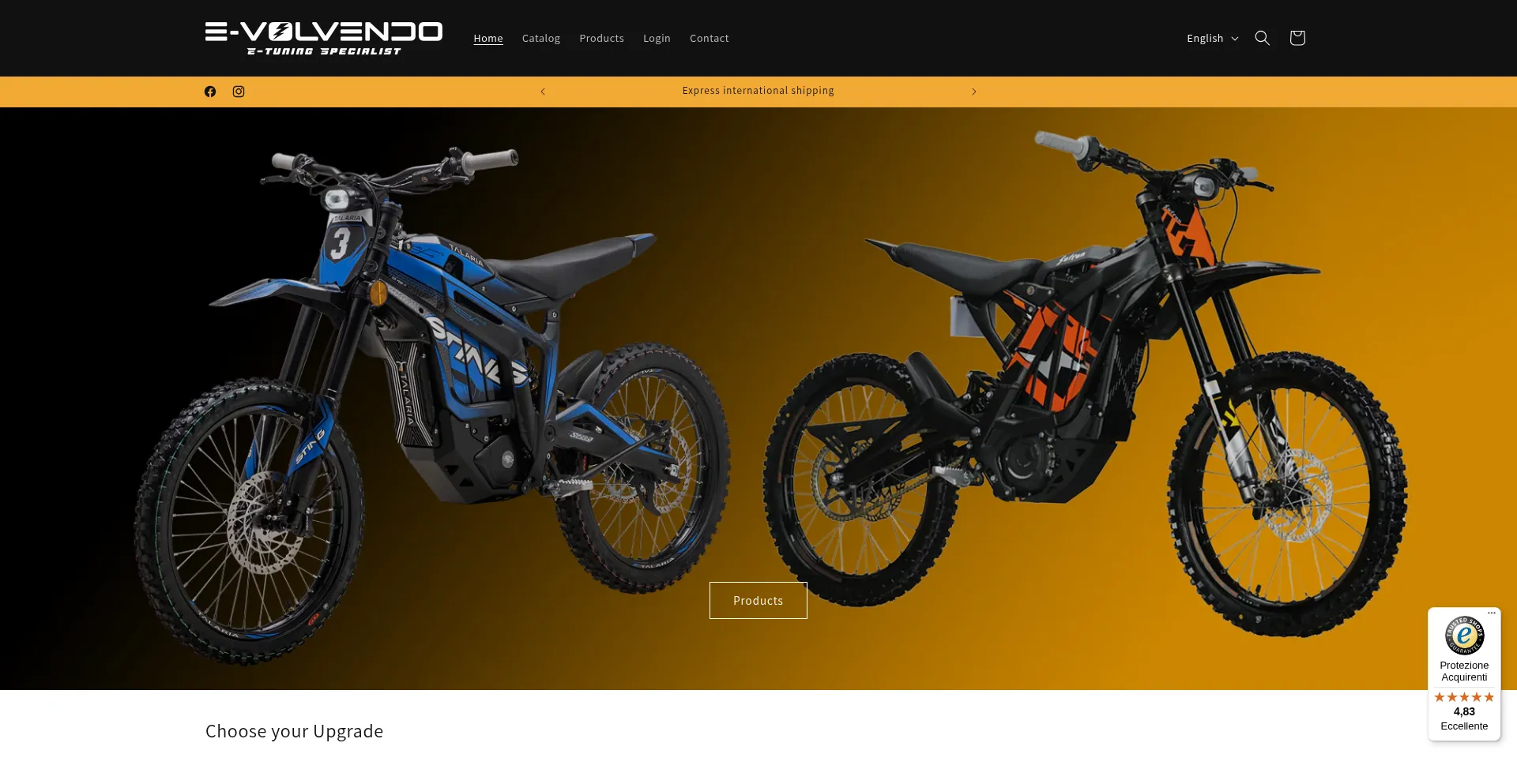 Website screenshot of E-volvendo.com
