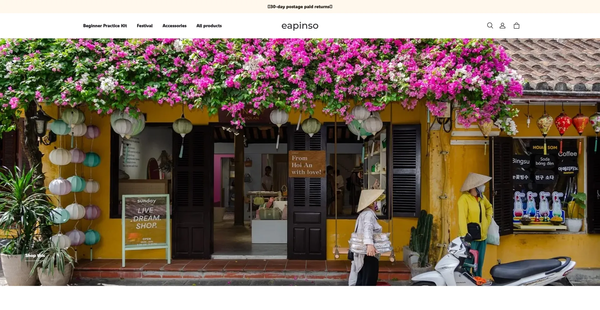 Website screenshot of Eapinso.com