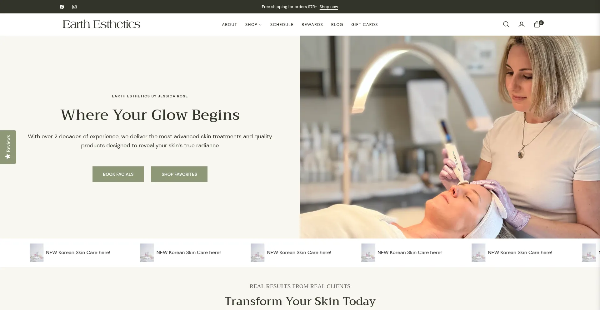 Website screenshot of Earthesthetics.com