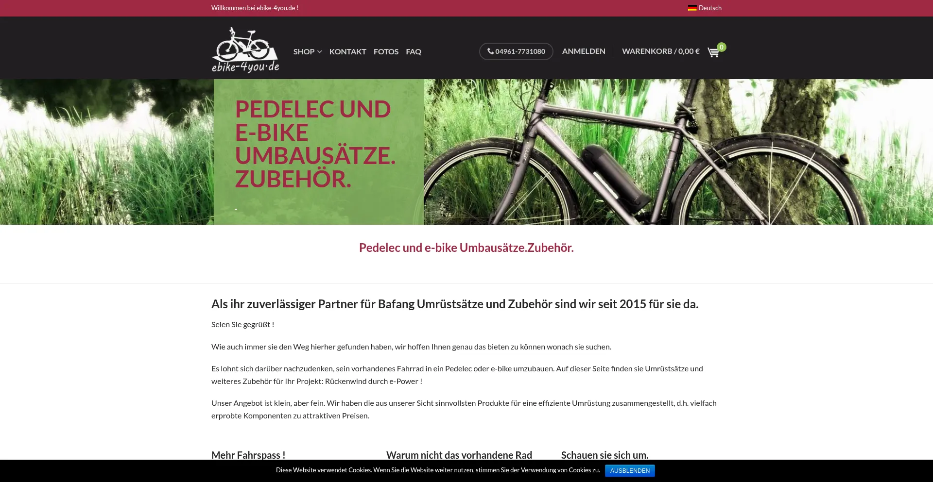 Website screenshot of Ebike-4you.de