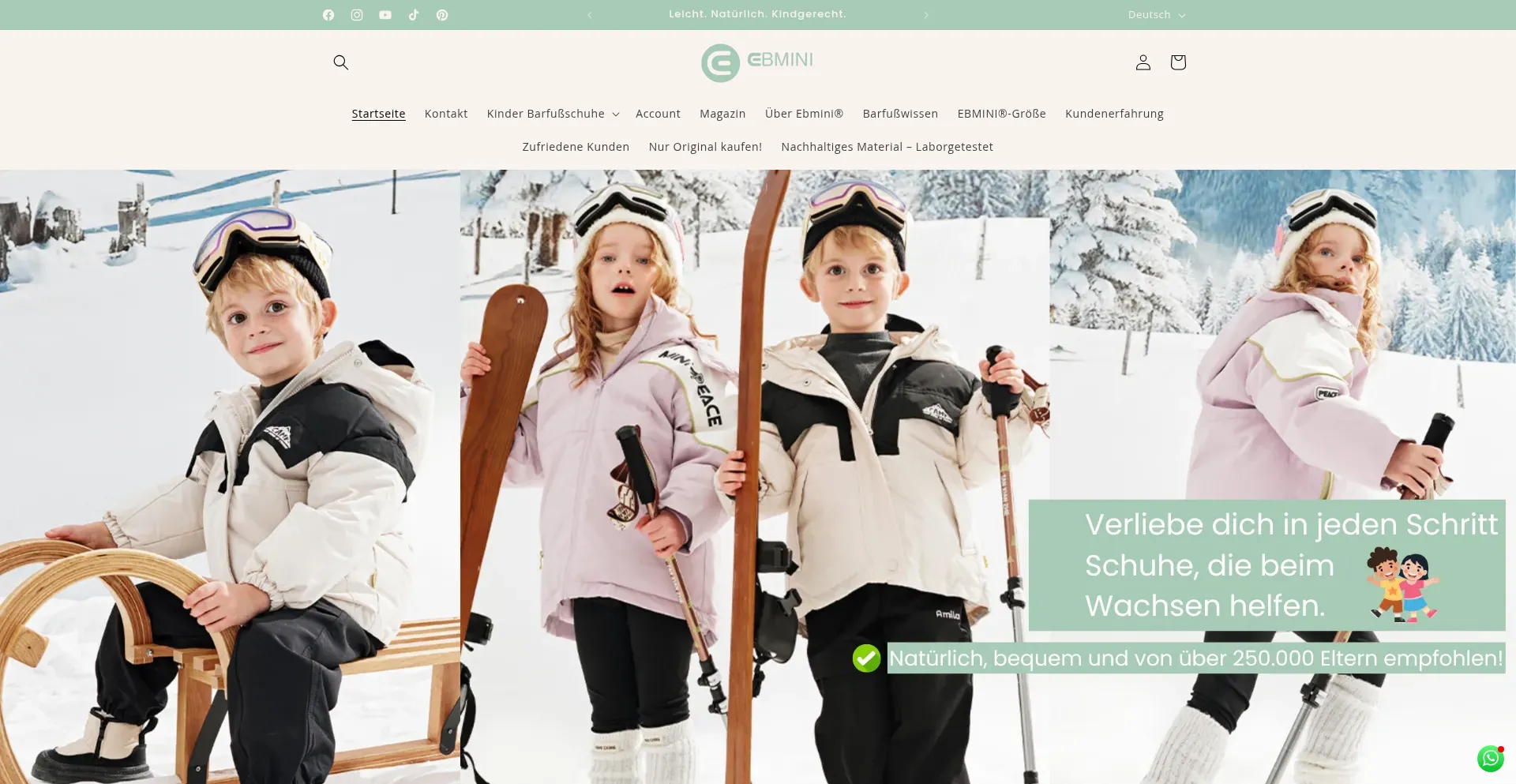 Ist Ebmini.de sicher und vertrauenswürdig?