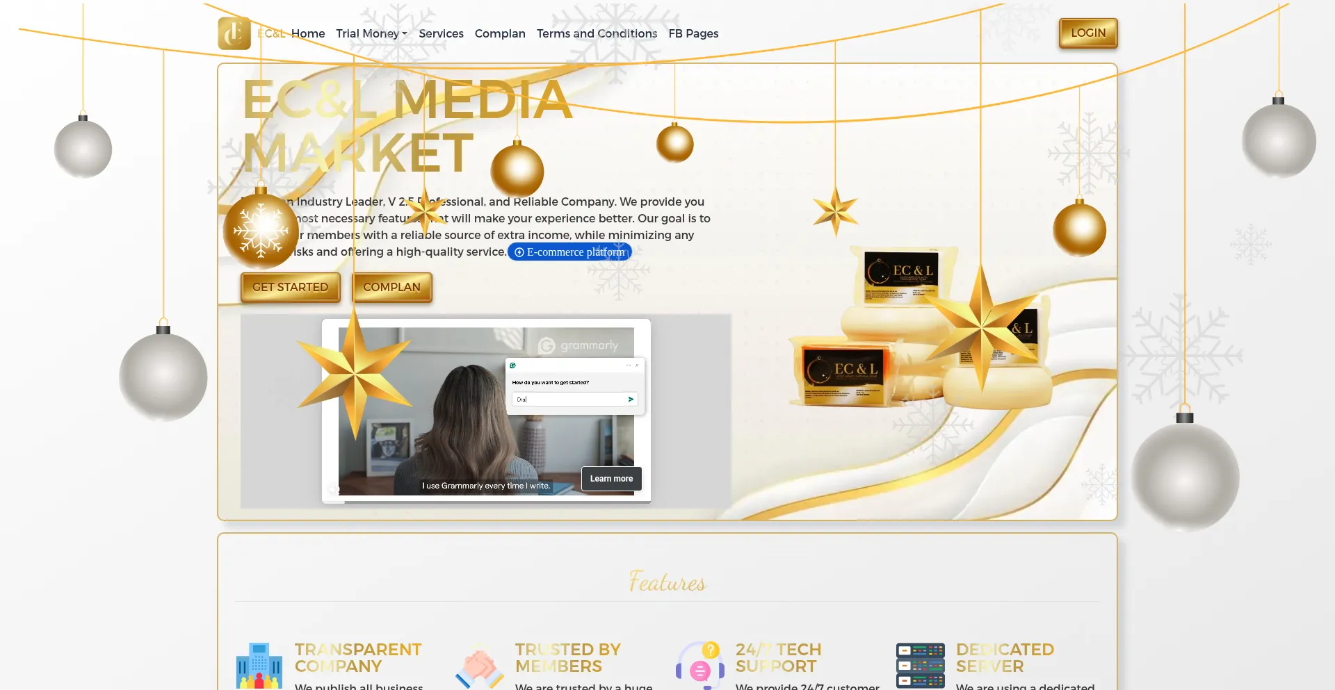 Website screenshot of Ecnlmediamarket.com