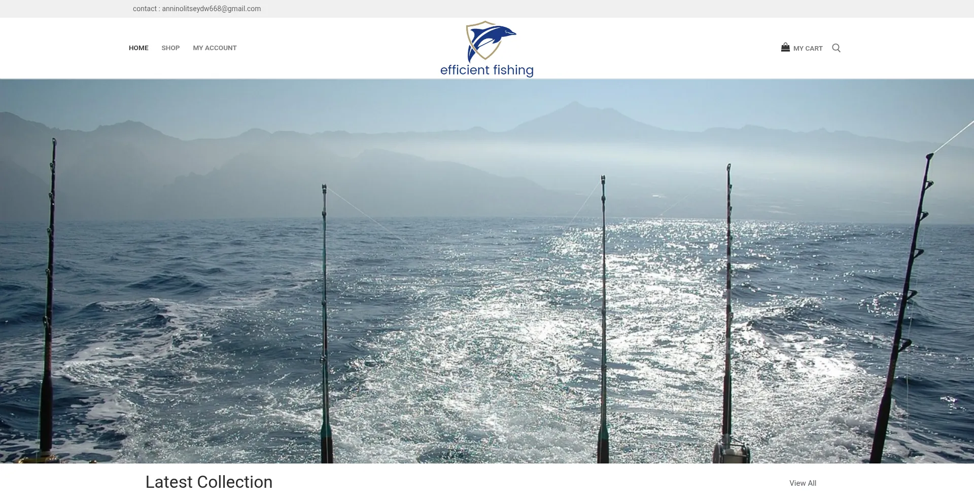 Efficientfishing.com