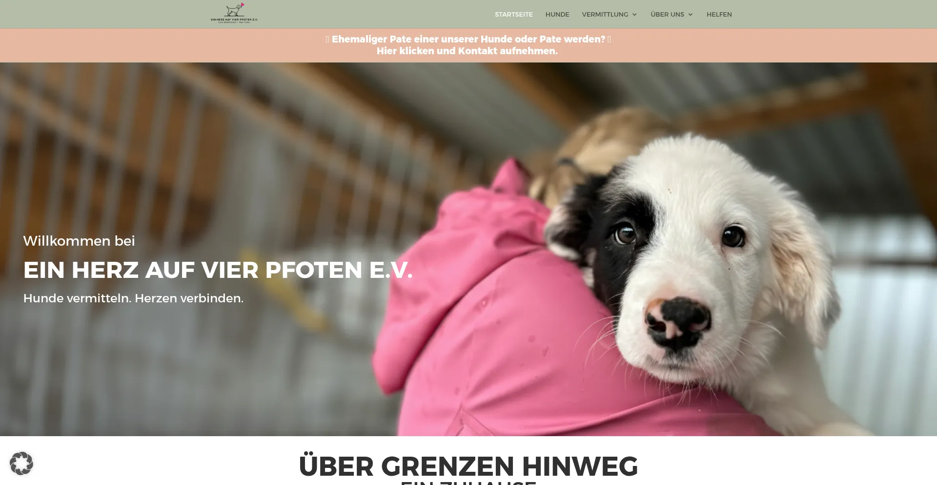 Einherzaufvierpfoten.de
