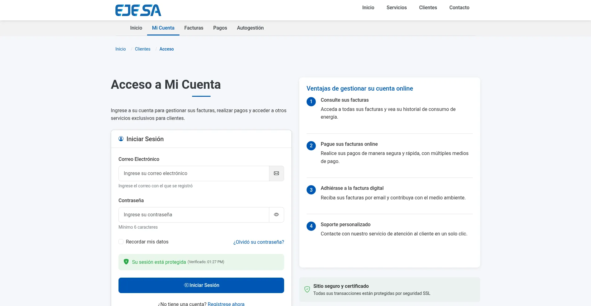 Website screenshot of Ejesa.net