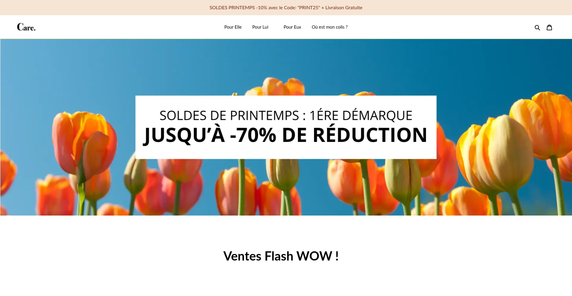 Website screenshot of Elecmassage.fr