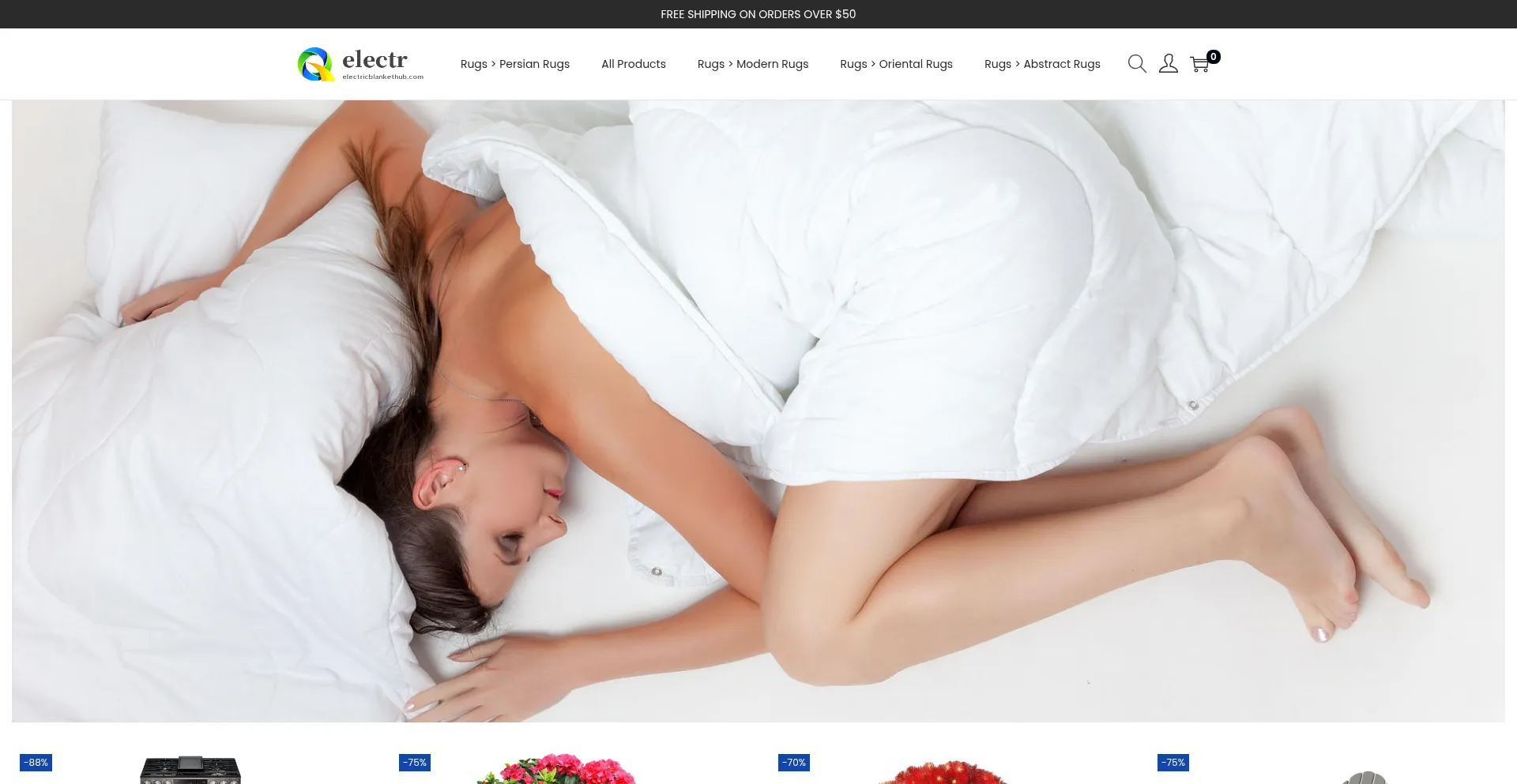 Electricblankethub.com