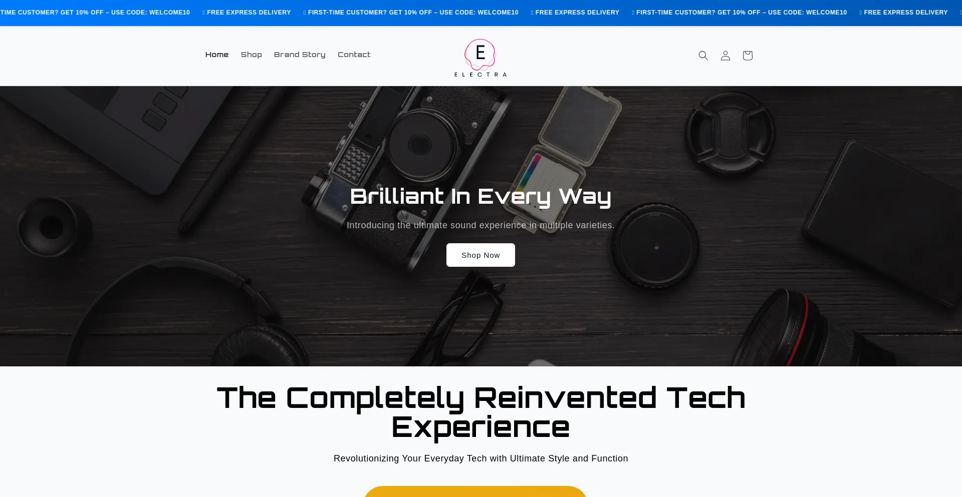 Website screenshot of Electricslide.store