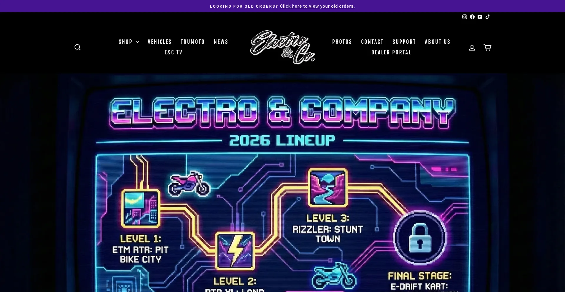 Electroandcompany.com