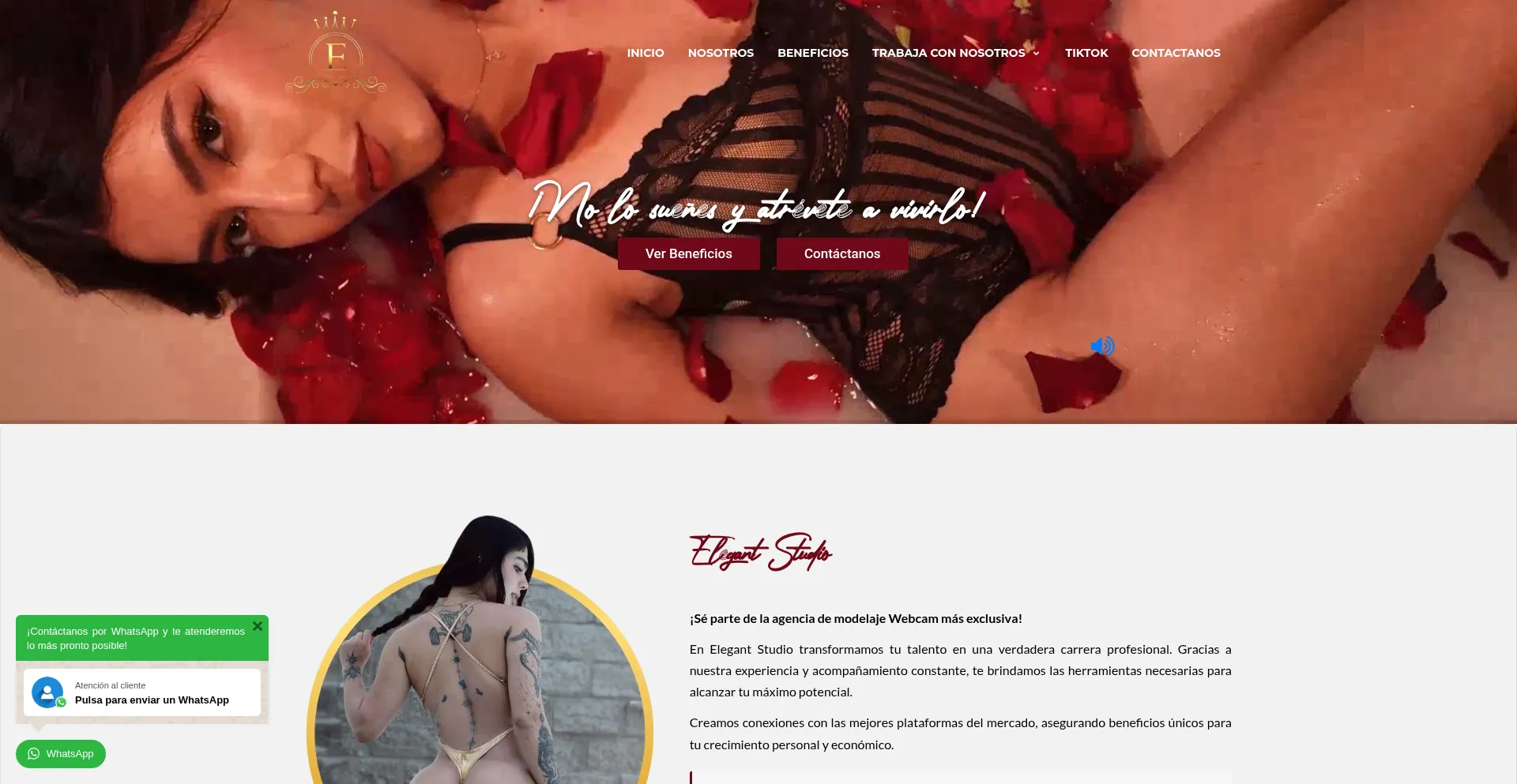 Elegantstudiogt.com