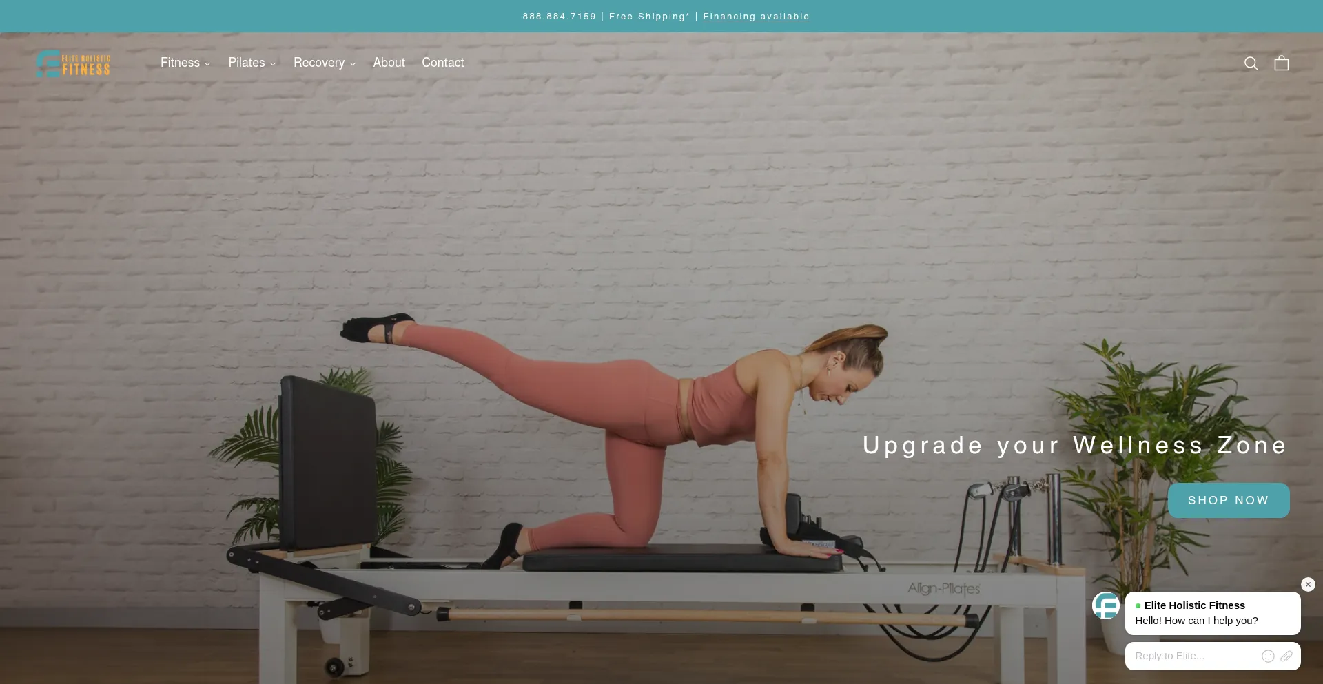 Website screenshot of Eliteholisticfitness.com