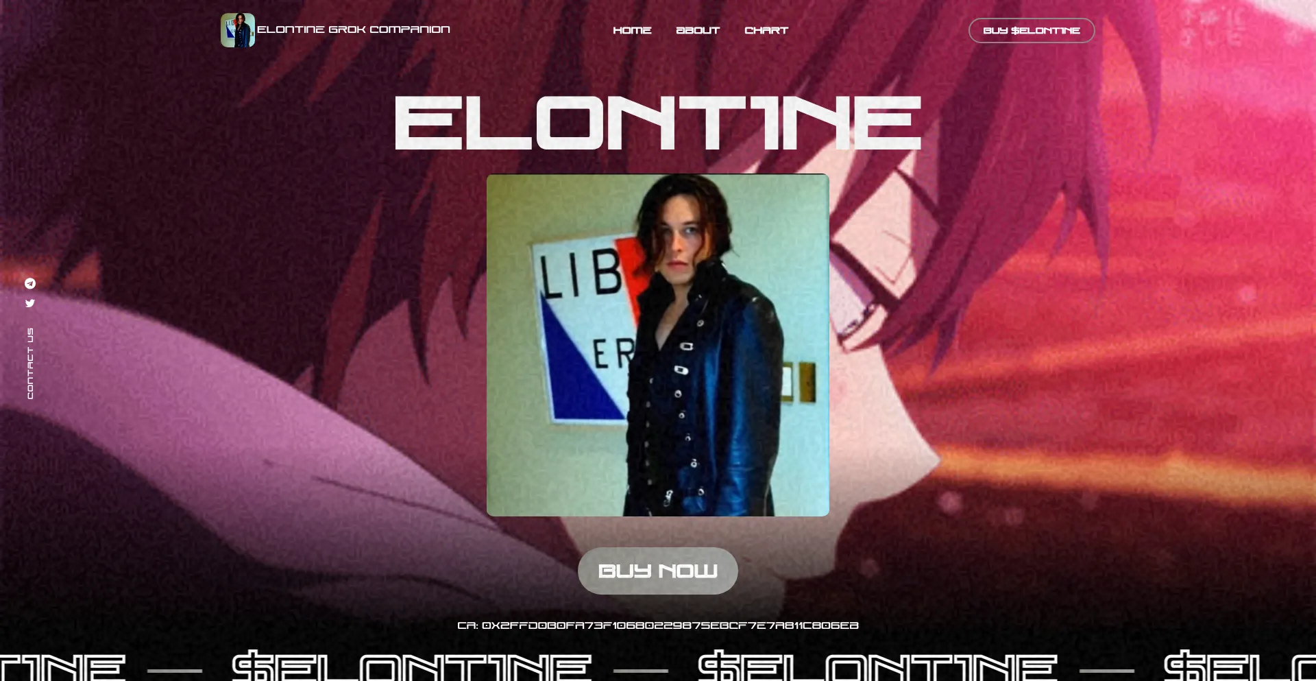 Website screenshot of Elontinegrokcompanion.xyz