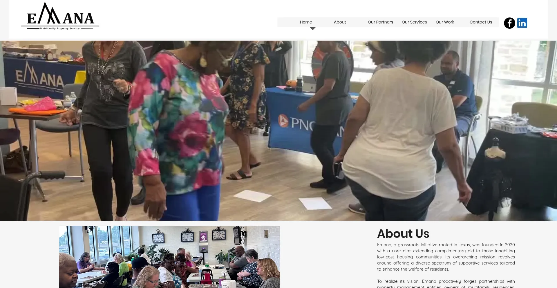 Website screenshot of Emanacorp.com