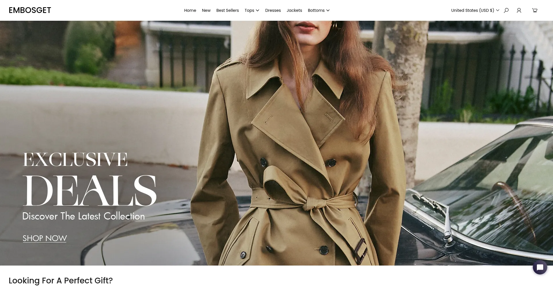 Website screenshot of Embosget.com