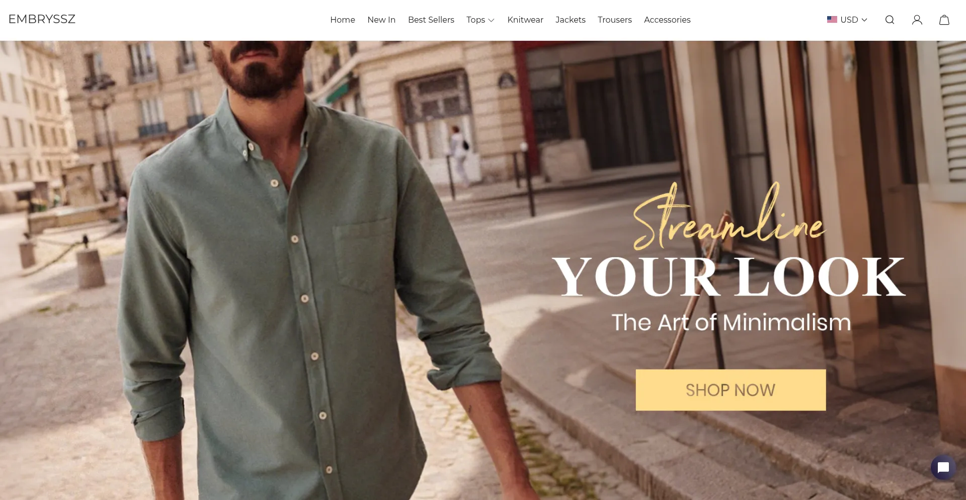 Website screenshot of Embryssz.com